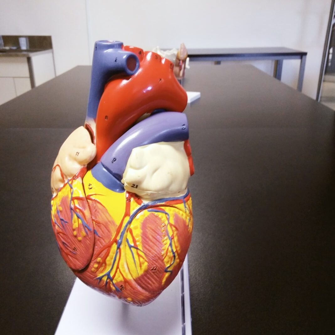 1cc3a840-68b3-478f-b96c-93f97f32f955