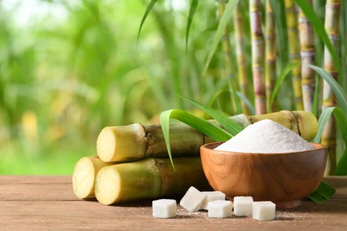 Screenshot 2025-07-02 094657