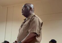 Alpheous’ grovelling apology Government spokesperson Alpheous Nxumalo.