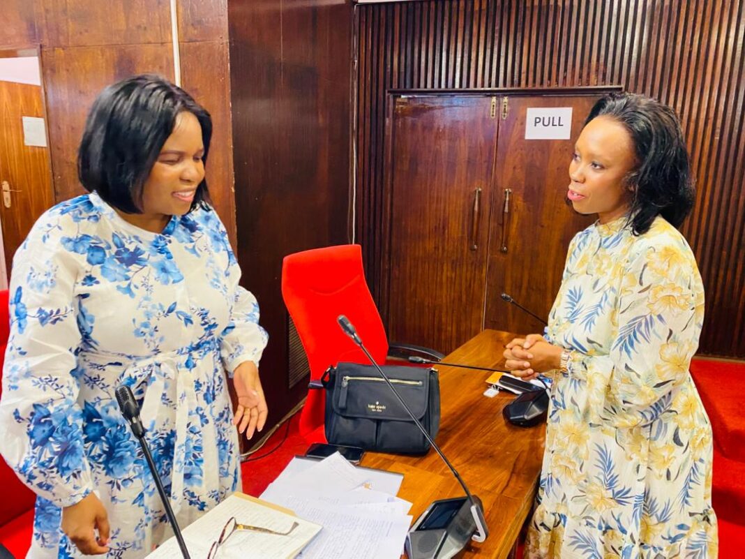 Minister of Home Affairs Princess Lindiwe with an official during yesterday's debate.