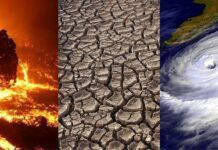 Losing the battle against climate change fast Extreme weather worldwide, including hurricanes and flooding, shows humans are losing the fight against climate change.