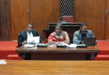 PAC questions E10m funding for unsustainable projects PAC Chairman (c) Madala Mhlanga flanked by Clerk Arthur Mordaunt and Assistant Auditor General Samkelo Motsa.