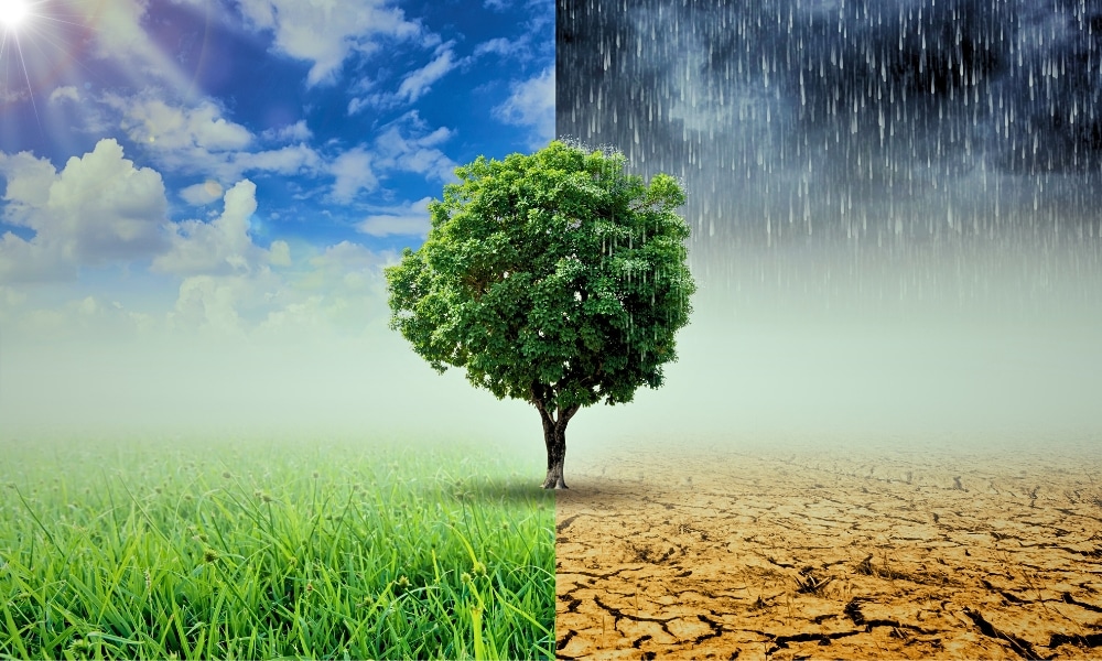 Extreme weather patterns and ineffective climate measures show humans are losing the battle against climate change, despite COP summits and international commitments.