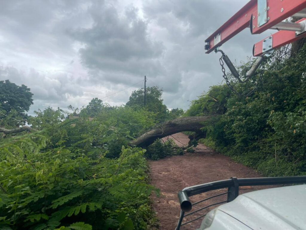 Eswatini Electricity Company (EEC) has recorded approximately 4 000 power faults following a severe thunderstorm, with Manzini and Pigg’s Peak among the hardest-hit areas. [Courtesy Pic]