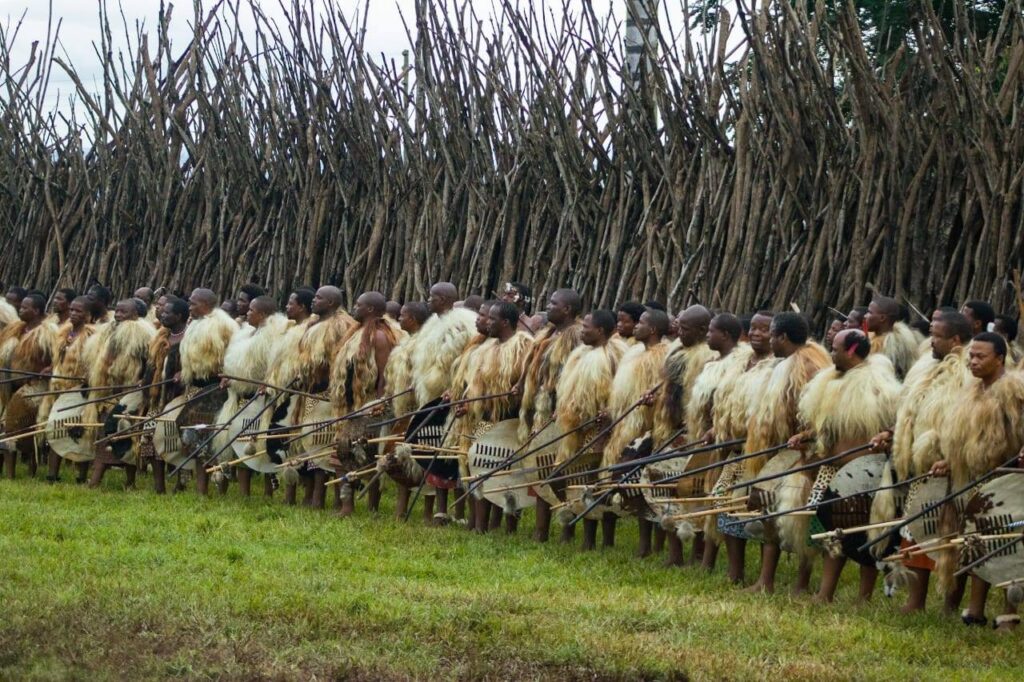Hundreds of regiments joined the Indlovukazi at Ludzidzini Royal Residence for the fourth day of the Little Incwala, celebrating with prayer, song and traditional dances, showcasing regalia passed down through generations.