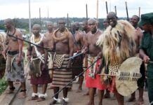 Restorative justice gone wrong HMCS says Ntuthuko Dlamini was not given special treatment to attend Incwala, noting that Kakona Dlamini and Maponi Ngubane also participated under lawful rehabilitation procedures.