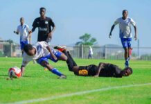 ‘Bull’,‘Bucs’ headline grand opening