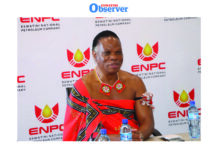 Do not panic – Minister Lonkhokhela Minister of Natural Resources and Energy Prince Lonkhokhela