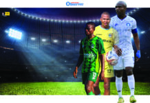 Birds seek redemption in Pigg’s Peak