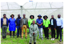 NAMBoard guides farmers into new registry