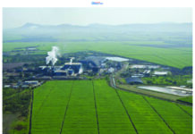 Rising fuel, electricity costs threaten cane industry operations