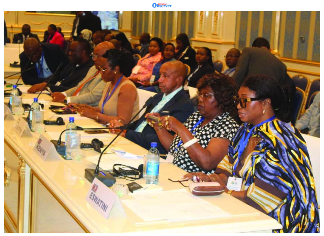Delegates at the OACPS session raised concerns over rising xenophobia in South Africa and called for accountability and African unity.